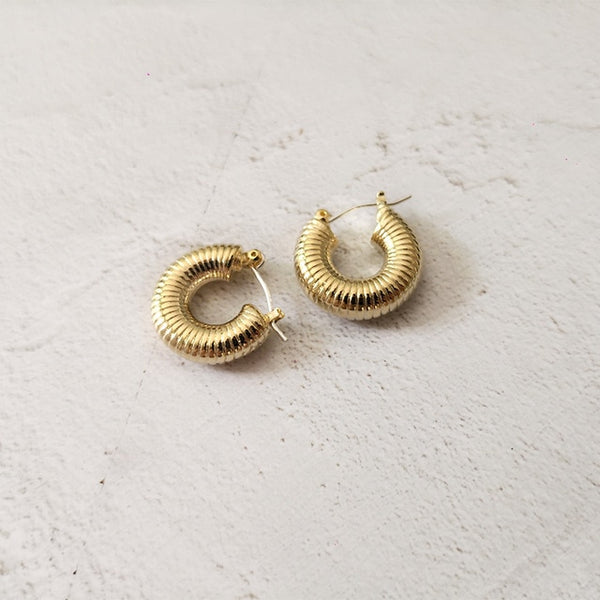 Chic Hoop Earrings